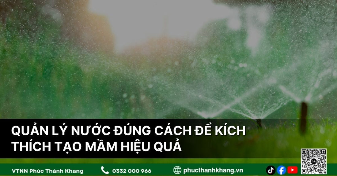 Quản Lý Nước Đúng Cách Để Kích Thích Tạo Mầm Hiệu Quả Trên Cây Sầu Riêng