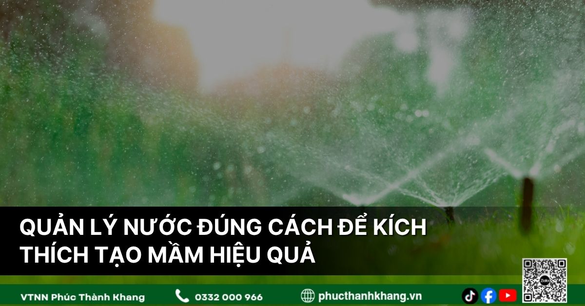 Quản Lý Nước Đúng Cách Để Kích Thích Tạo Mầm Hiệu Quả Trên Cây Sầu Riêng