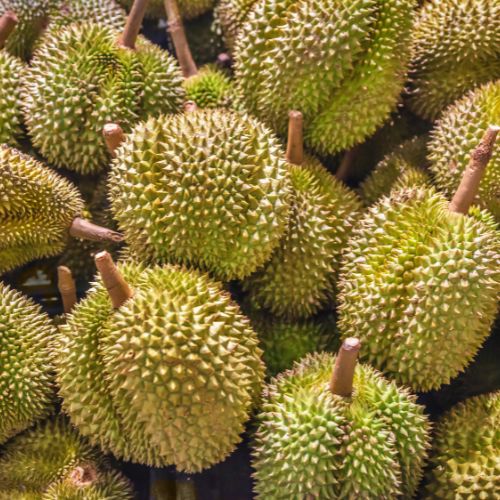 Giai đoạn nuôi trái cây cần những chất nào để trái lớn nhanh và đạt chất lượng