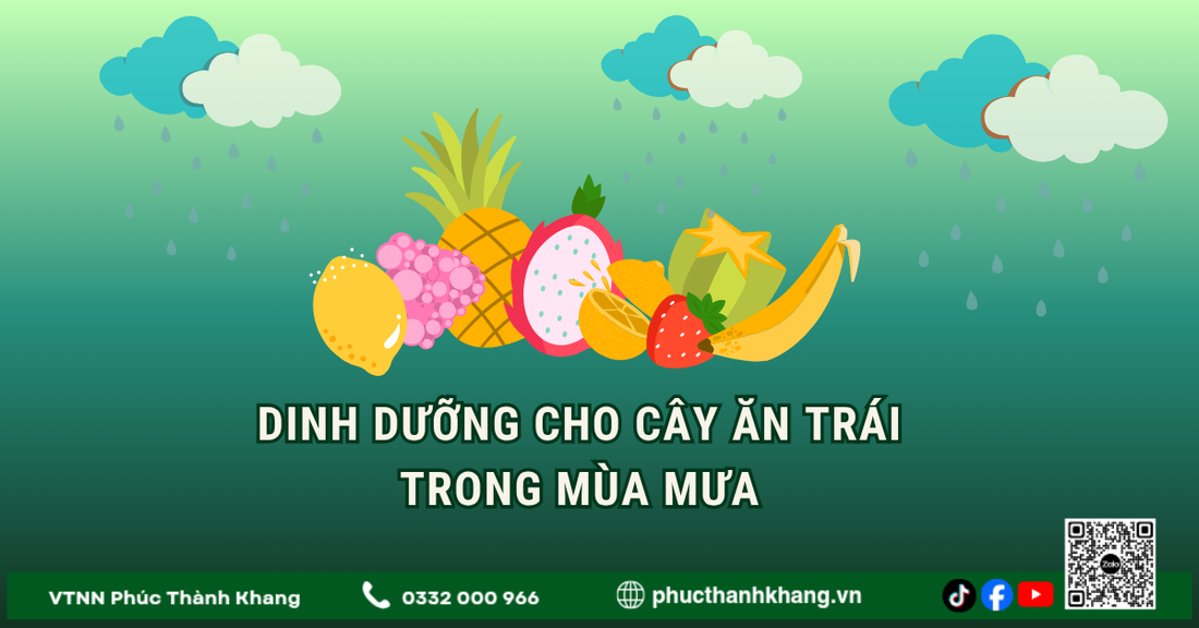 Dinh Dưỡng Cho Cây Trồng Trong Mùa Mưa: Cách Bổ Sung Hiệu Quả Để Cây Khỏe, Hạn Chế Sâu Bệnh