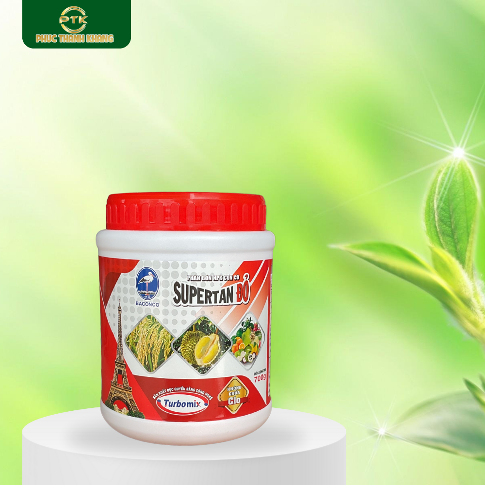 Supertan Đỏ 700g – Cây khỏe, trái lớn, chất lượng vượt trội