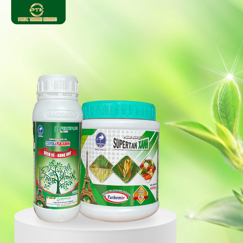 Bộ Đôi Mập Đọt Xanh Lá (COFOLI FULAMIN + SUPERTAN XANH)