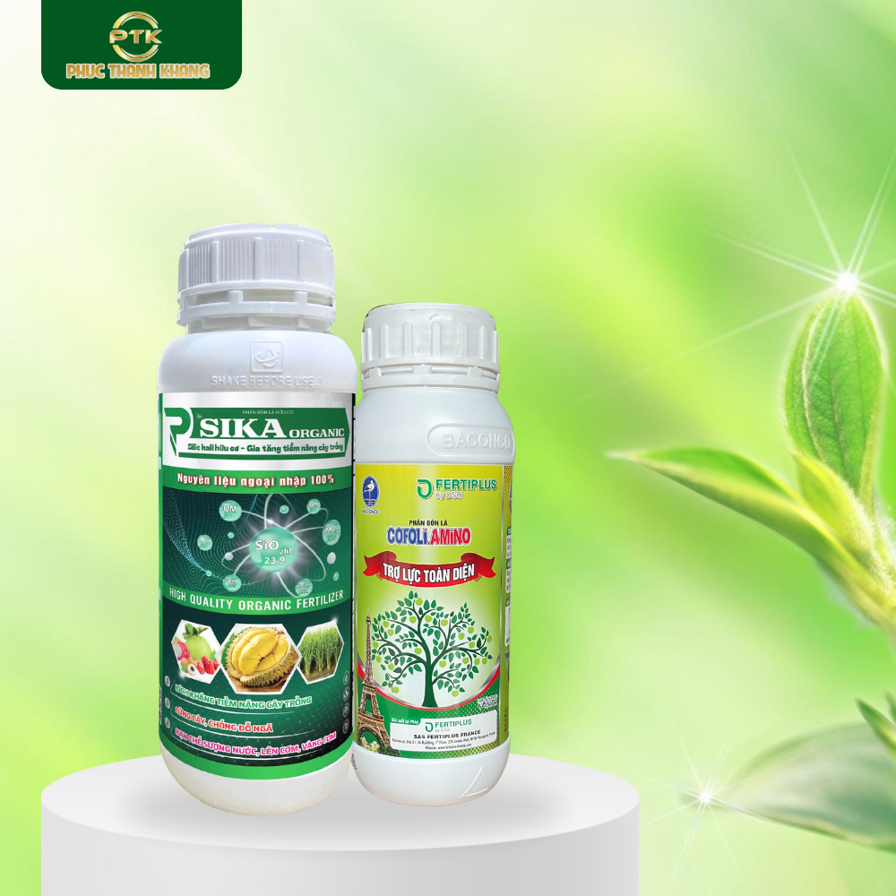 Bộ Sản Phẩm Lên Cơm – Chống Sượng Nước (SIKA + AMINO)