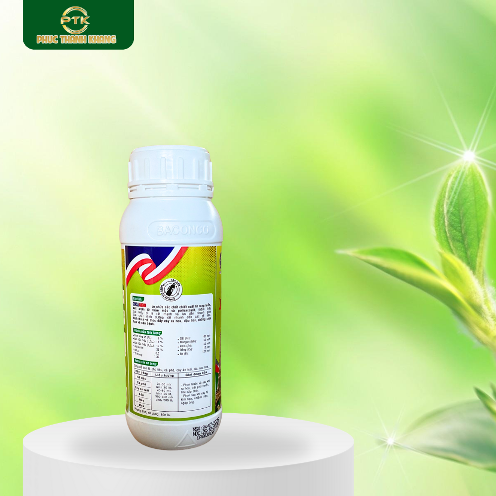 Cofoli Amino 450ml – Tăng trưởng mạnh, kích thích ra hoa tập trung, tăng chất lượng nông sản