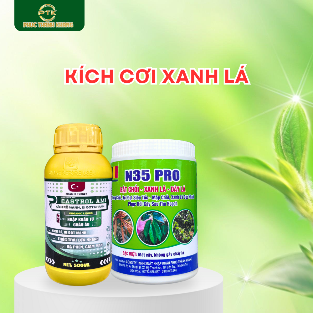Bộ Sản Phẩm Kích Cơi Xanh Lá (CASTROL AMI + N35 PRO)