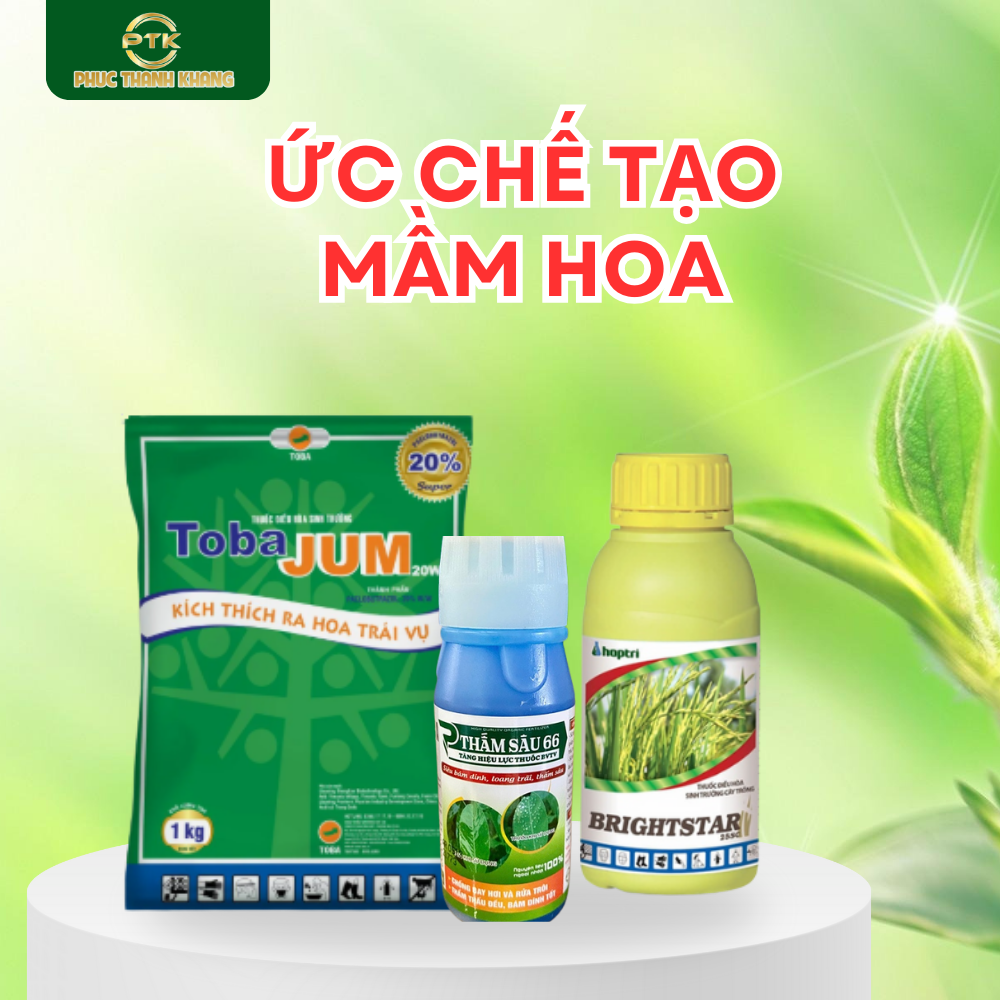Bộ Sản Phẩm Ức Chế Tạo Mầm Hoa (TOBA JUM + PACLO BRIGHTSTAR + THẤM SÂU 66)