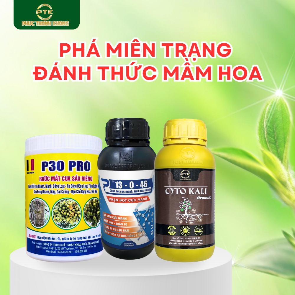 Bộ Sản Phẩm Phá Miên Trạng – Đánh thức mầm hoa (P30 PRO + 13-0-46 + CYTO KALI)